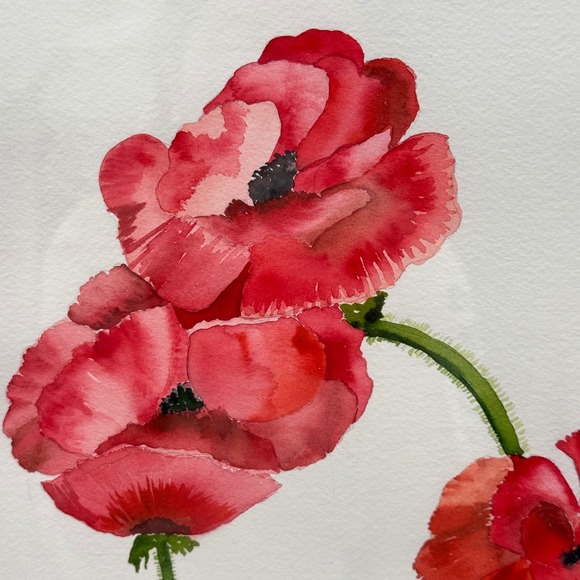 Large Original Poppy Floral Watercolor Painting 23x26 - Picture 5 of 10